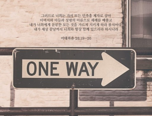 ☘️ 더 큰 책임을 위한 훈련