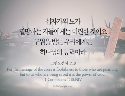 ☘️ 우리의 최고의 작품