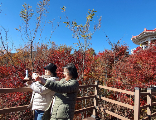 ☘️ 굳건히 서서 흔들리지 마십시오