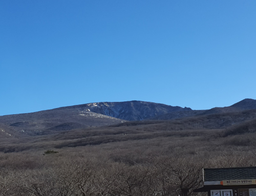 ☘️ 에피그노시스의 힘