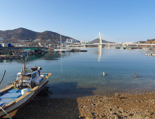 ☘️ 주님께 손을 드십시오