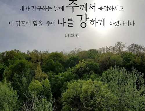 ☘️ 당신은 성공입니다