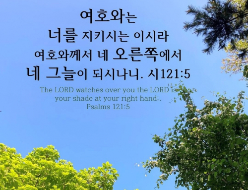 ☘️ 축복의 정수