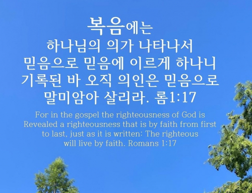 ☘️ 전략적인 영혼 구원